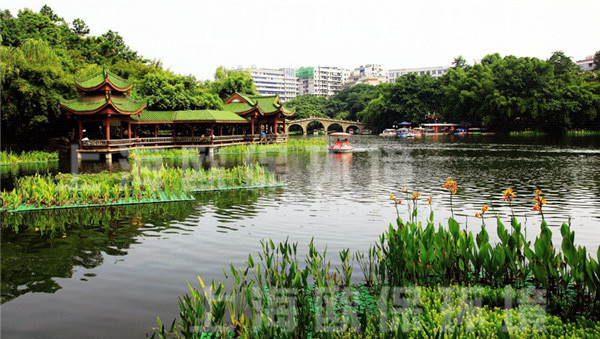 生态浮岛,人工浮床在人工湖治理中的应用