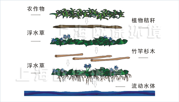 古代农业生态浮岛种植工艺