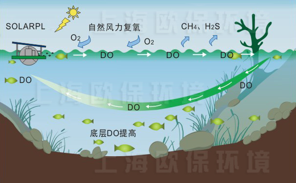 SOLARPL推流式太阳能曝气机使用后