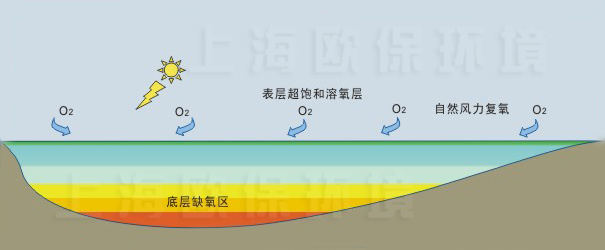 使用前水体自然分层明显，底层处于缺氧状态