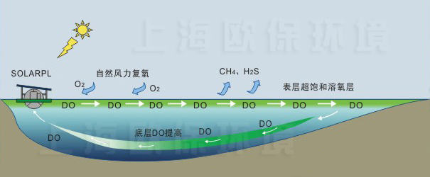 使用一段时间后，底层溶解氧提高，污染指标明显下降