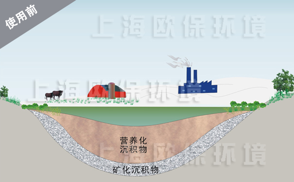 使用前，营养化沉积物挤占了水体有效容积，水质变差，藻类滋生