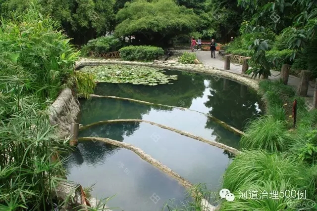 植物塘床系统