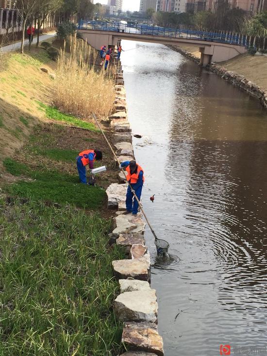 插图4.jpg 插图4.jpg