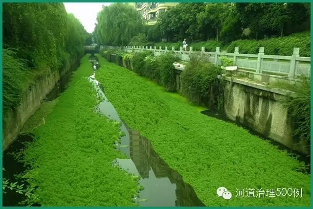 这样满河布置，合适吗？