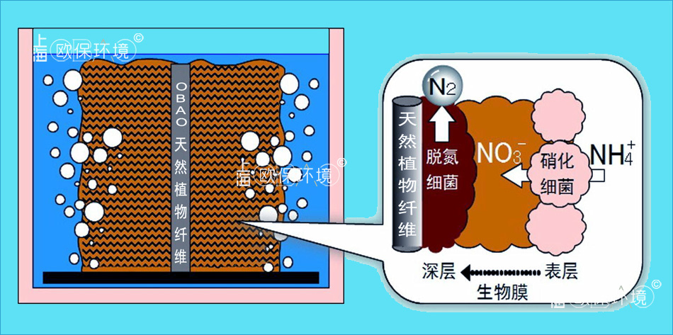 排口收集反应器原理-微生物作用