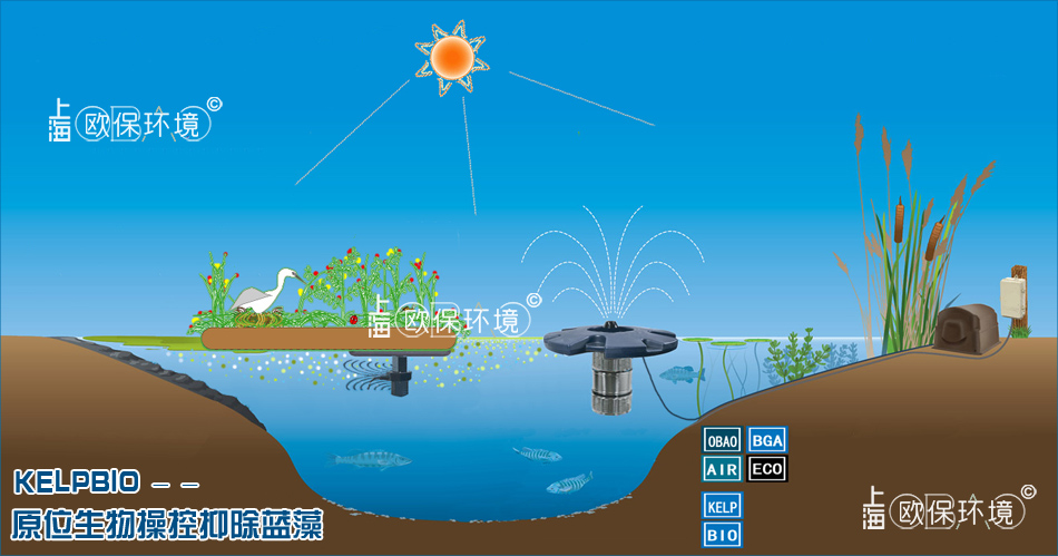 欧保KELPBIO生物操控抑除蓝藻技术原理