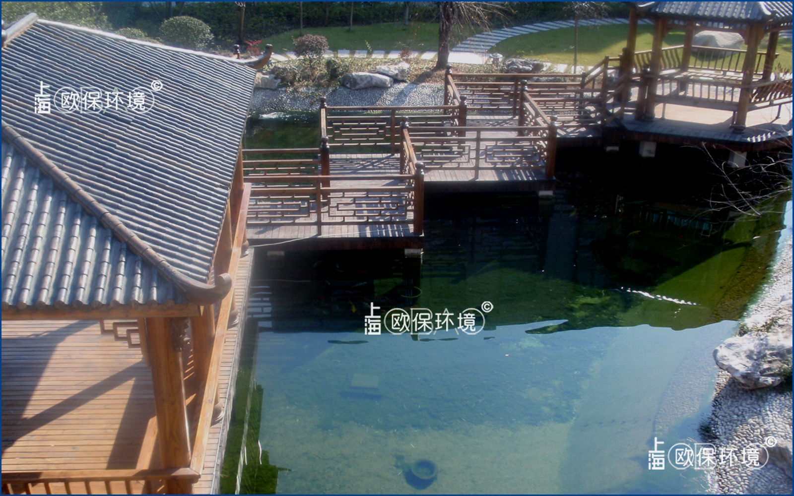 化工集团花园池塘，水深2米，观赏鱼养殖及水净化