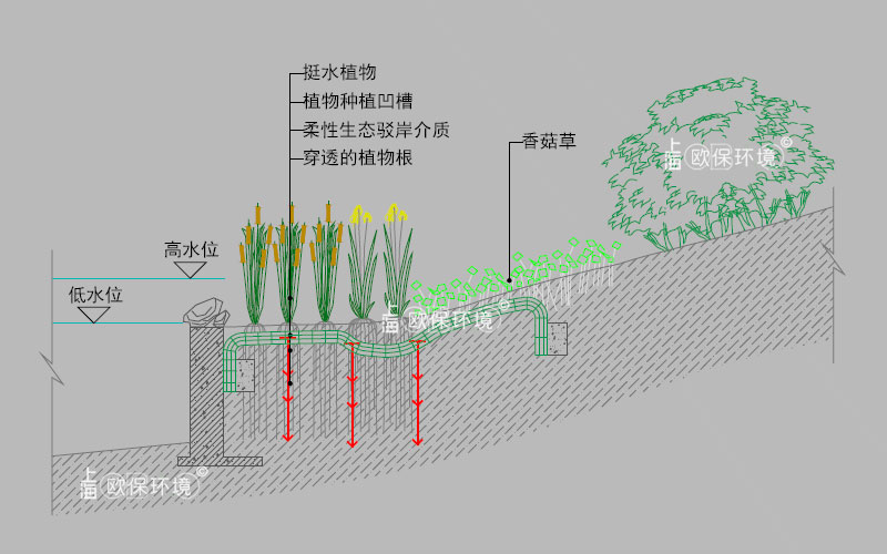 生态驳岸