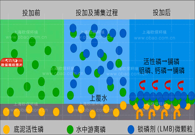 锁磷剂实现泥水共治