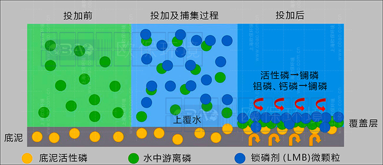 锁磷剂净水原理