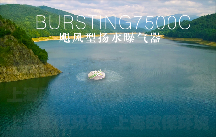 BURSTING7500C飓风型扬水曝气器（设有操作平台）