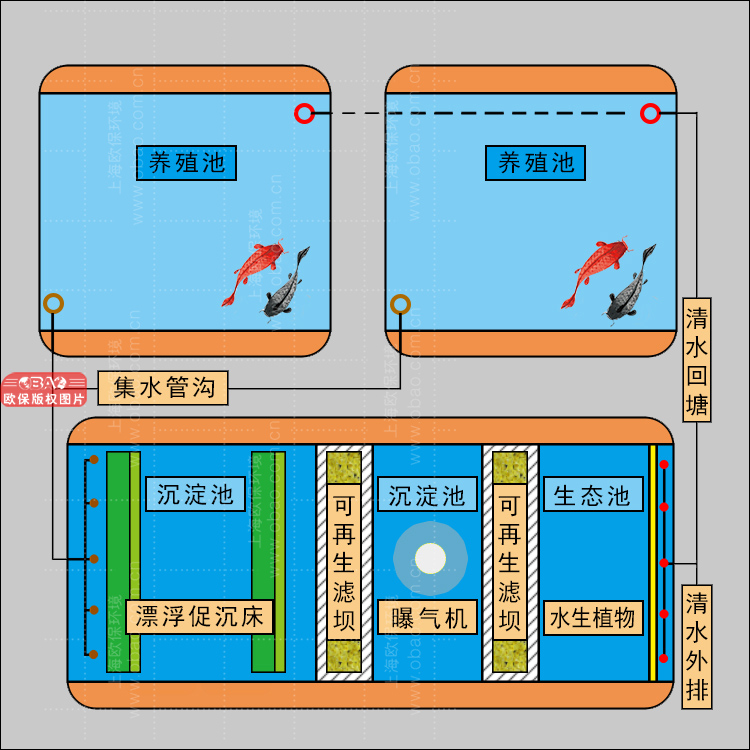 养殖尾水治理三池两坝技术