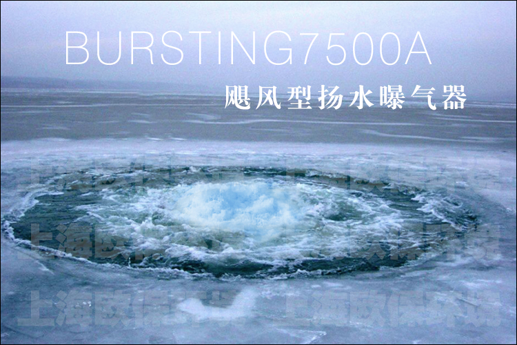 BURSTING7500A飓风型扬水曝气器