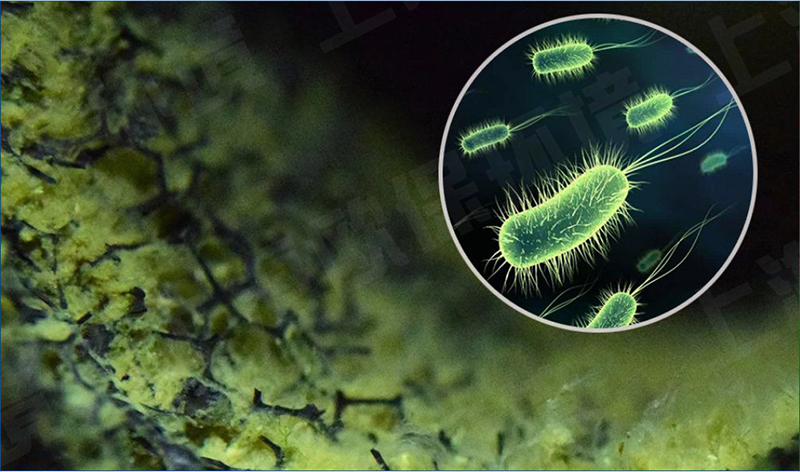 再生滤坝有足够大的孔隙率（97.5%）能够充分截留SS，滤坝中的微生物能很快分解掉其中有机物，降低SS量，有效延长了清洗时间