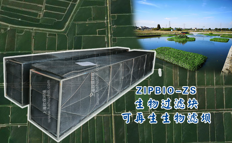 “三池两坝”：淡水池塘养殖尾水治理的关键工艺