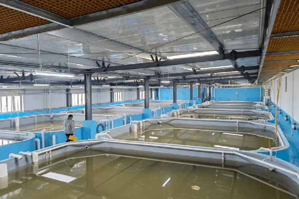 可再生滤坝，三池两坝，海水养殖尾水，养殖尾水