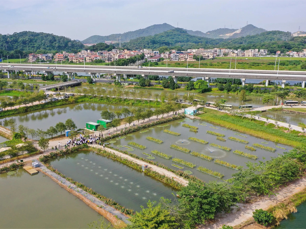 三池两坝,养殖尾水,可再生滤坝 三池两坝,养殖尾水,可再生滤坝
