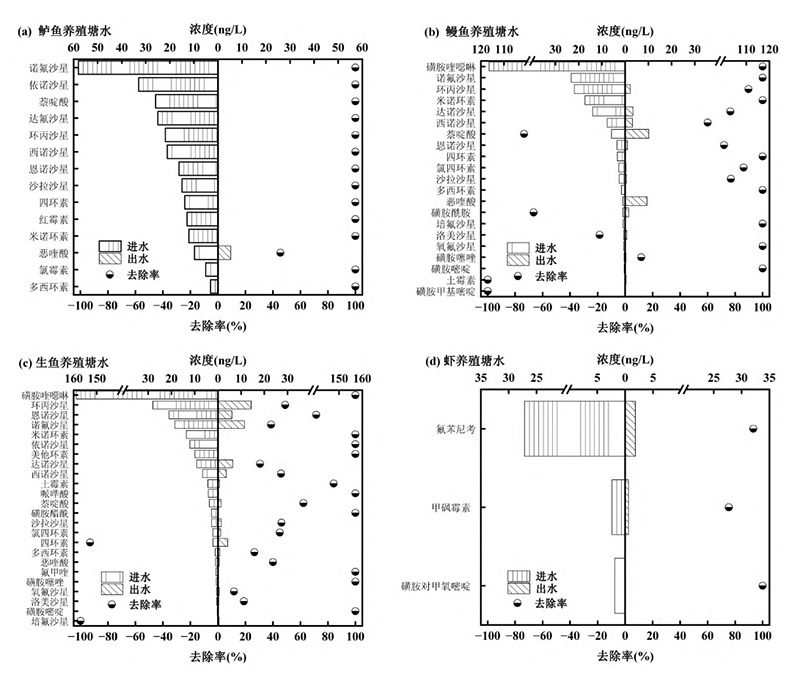 复合滤坝对鲈鱼养殖塘水、鳗鱼养殖塘水、生鱼养殖塘水和虾养殖塘水中各类别抗生素的浓度去除情况