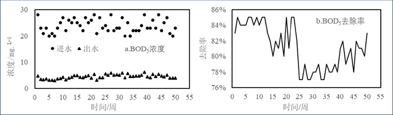 图2 加强型三池两坝技术对BOD5的去除效果 图2 加强型三池两坝技术对BOD5的去除效果