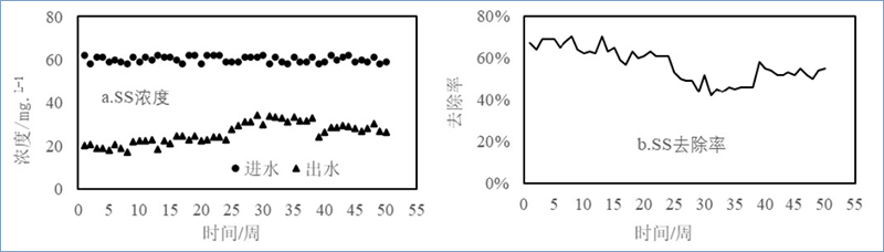 图5 加强型三池两坝技术对SS的去除效果 图5 加强型三池两坝技术对SS的去除效果