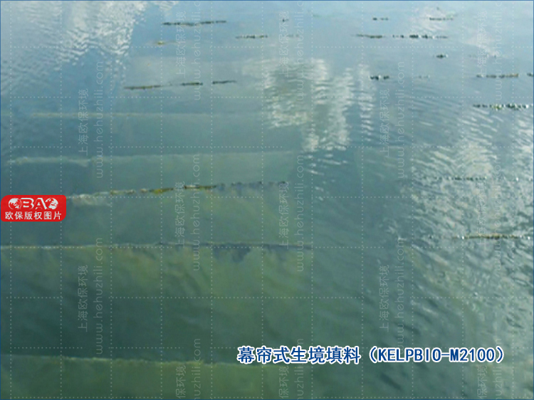 幕帘式生境填料(KELPBIO-M2100) 幕帘式生境填料(KELPBIO-M2100)