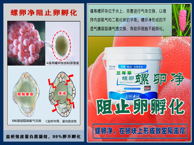 三年草螺卵净PCBC